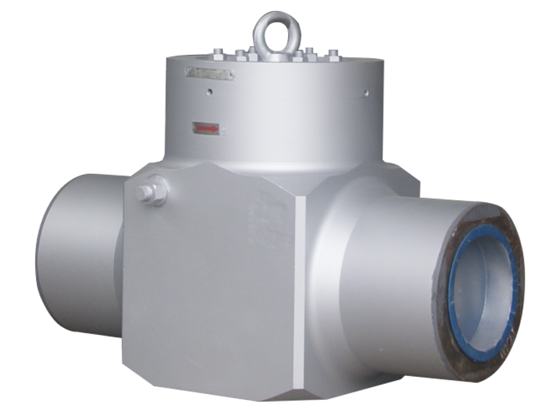 Swing check valve